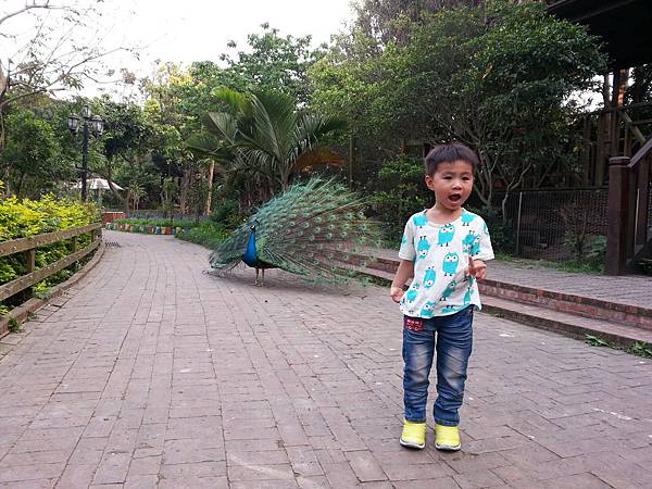 20140416_171150.jpg