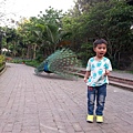 20140416_171150.jpg