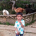 20140416_172422.jpg