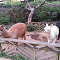 20140416_172512.jpg
