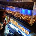 20140416_204446.jpg