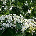 20140417_114712.jpg