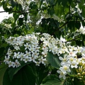 20140417_114715.jpg