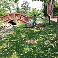 20140417_114509.jpg