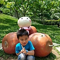20140417_114820.jpg