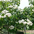 20140417_115152.jpg