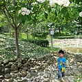 20140417_115236.jpg