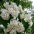 20140417_115503.jpg