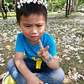20140417_120032.jpg
