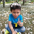 20140417_120040.jpg