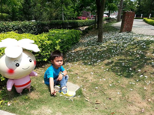 20140417_120415.jpg