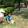 20140417_120415.jpg