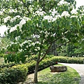 20140417_120644.jpg