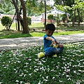 20140417_125007.jpg