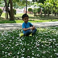 20140417_125017.jpg