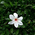 20140417_132656.jpg