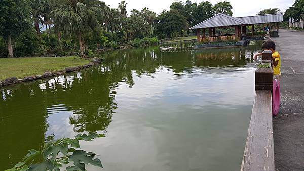 20160603_103603.jpg