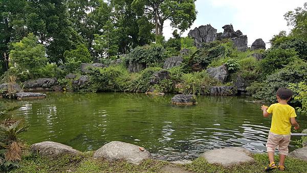 20160603_104435.jpg