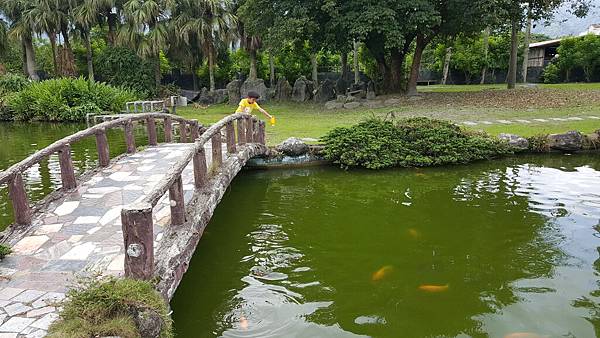 20160603_104749.jpg