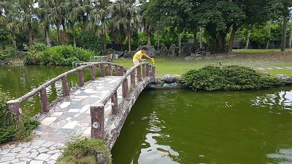 20160603_104746.jpg