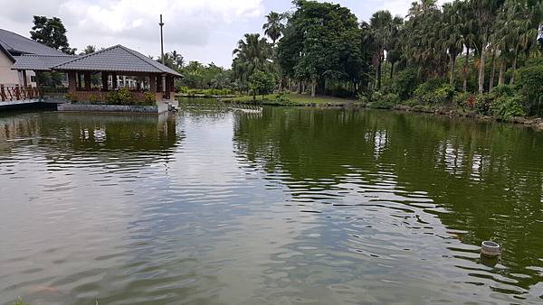 20160603_104836.jpg