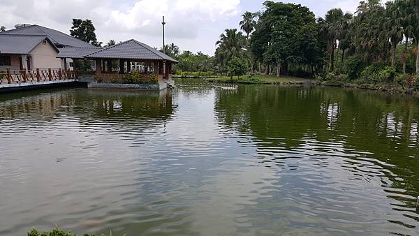 20160603_104837.jpg