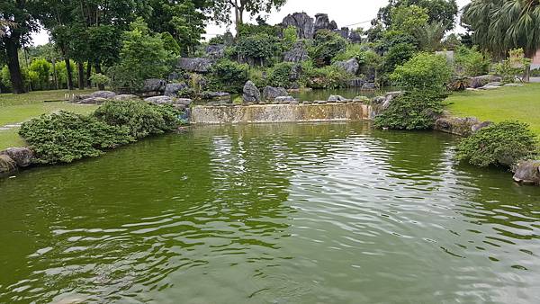 20160603_104842.jpg