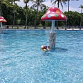 20160603_112242.jpg