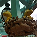 20160615_180800.jpg