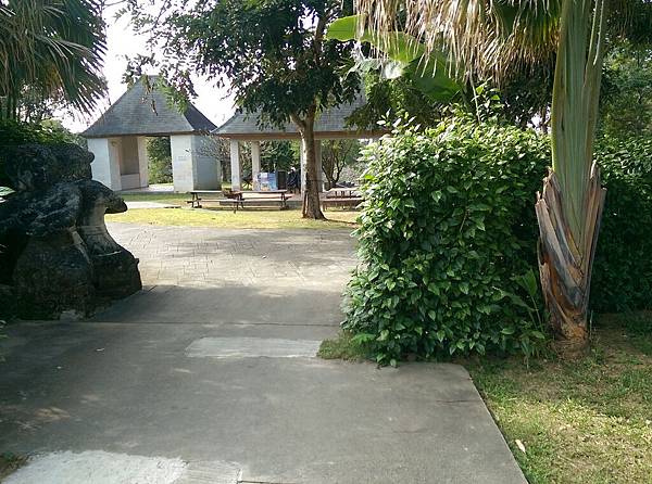 IMAG7733.jpg