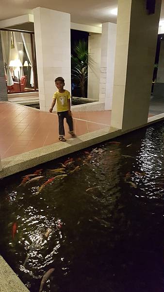 20160625_192105.jpg