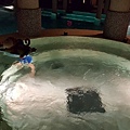 20160625_195202.jpg