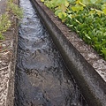 20160704_174714.jpg