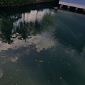20160704_164558.jpg