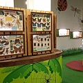20160702_151926.jpg