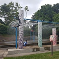 20160702_143529.jpg