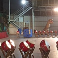 20160702_134043.jpg