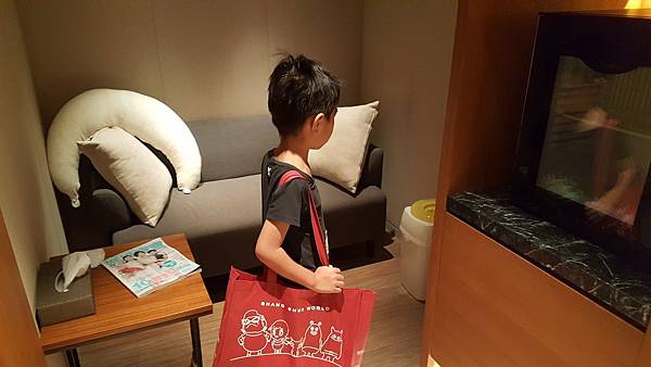 20160911_080209.jpg