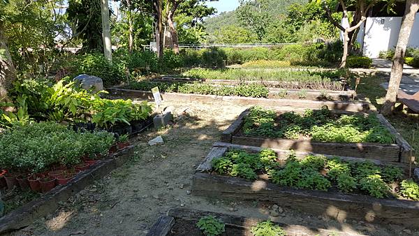 20161114_094048.jpg