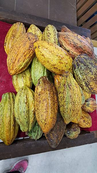 20161114_102024.jpg
