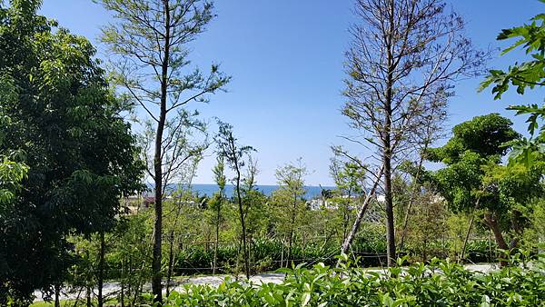 20161114_112841.jpg