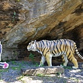 20161114_113357.jpg