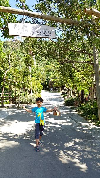 20161114_113617.jpg