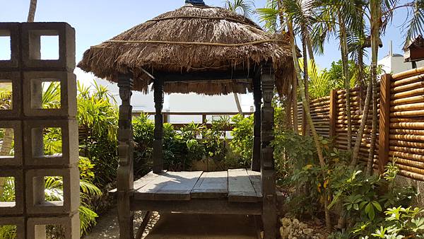 20161114_123145.jpg