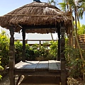 20161114_123145.jpg