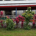 20170326_063659.jpg