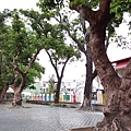 20170326_063849.jpg
