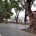 20170326_063853.jpg