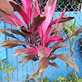 20170326_064613.jpg
