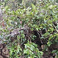 20170326_094607.jpg